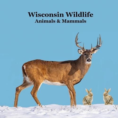 Wisconsin Animals and Mammals Wildlife Book: Great Wisconsin Animals book with Lifelike Images and Fun Facts
