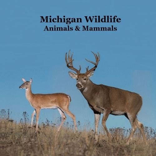 Michigan Animals and Mammals Wildlife Book: Great Michigan Animals book with Lifelike Images and Fun Facts