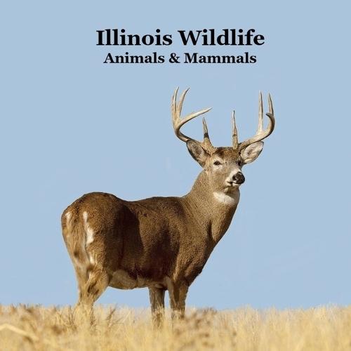 Illinois Animals and Mammals Wildlife Book: Great Illinois Animals book with Lifelike Images and Fun Facts
