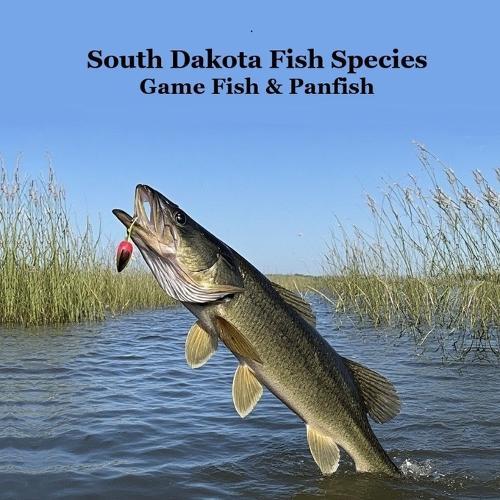 South Dakota Panfish and Game Fish Species Kids Book: Great Book About the Different Types of Fish in South Dakota