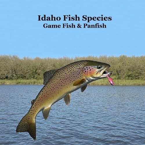 Idaho Panfish and Game Fish Species Kids Book: Great Book About the Different Types of Fish in Idaho