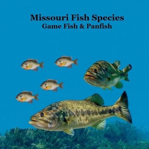 Missouri Game Fish and Panfish Species Kids Book: Great Book About the Different Types of Fish in Missouri
