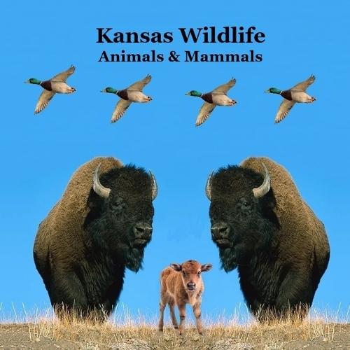 Kansas Animals and Mammals Kids Wildlife Book: Great Kansas Animals book with Lifelike Images and Fun Facts