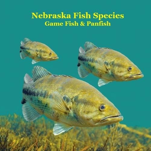 Nebraska Game Fish and Panfish Species Kids Book: Great Book About the Different Types of Fish in Nebraska