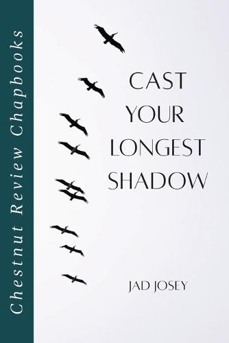 Cast Your Longest Shadow