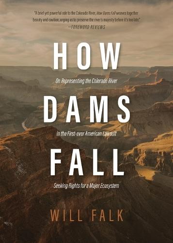 How Dams Fall
