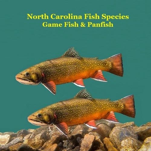 North Carolina Game Fish and Panfish Species Kids Book: Great Book About the Different Types of Fish in North Carolina