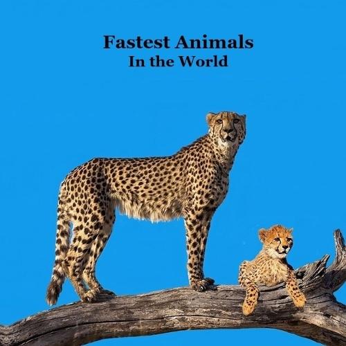 Fastest Animals in the World Kids Book: Great Book about the Fast Animals on Planet Earth