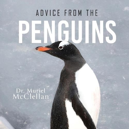 Advice from the Penguins