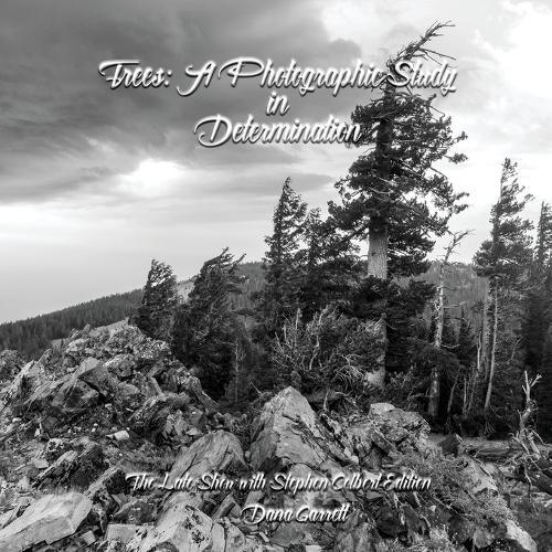 Trees: A Photographic Study in Determination