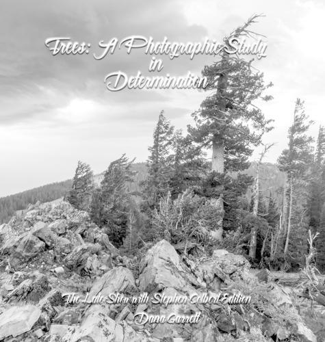 Trees: A Photographic Study in Determination