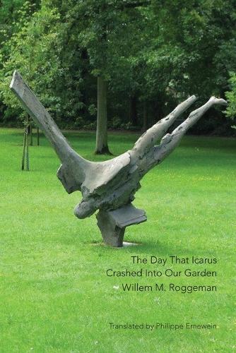 The Day That Icarus Crashed Into Our Garden