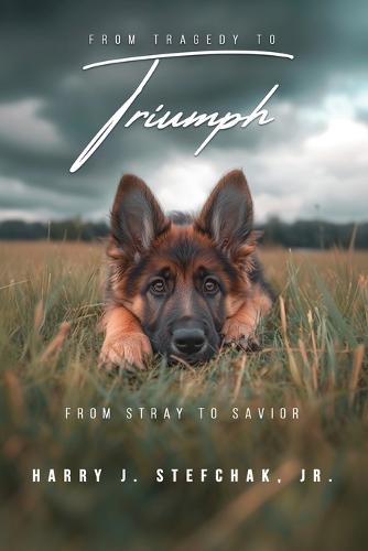 From Tragedy to Triumph
