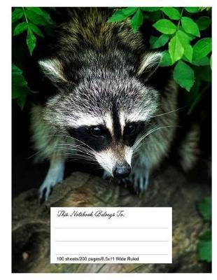 Composition Notebook for School, 8.5.X 11, Wide Ruled, Cute Racoon
