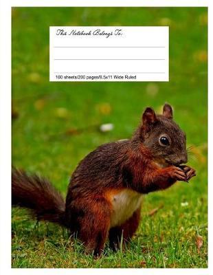 Composition Notebook for School, 8.5.X 11, Wide Ruled, Love Squirrel
