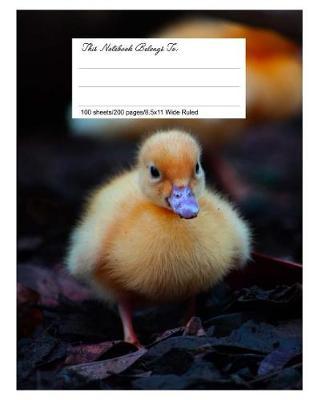 Composition Notebook for School, 8.5.X 11, Wide Ruled, Cutest Duckling