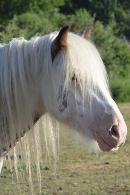 Sweet White Horse Portrait in the Sunshine Journal: 150 Page Lined Notebook/Diary