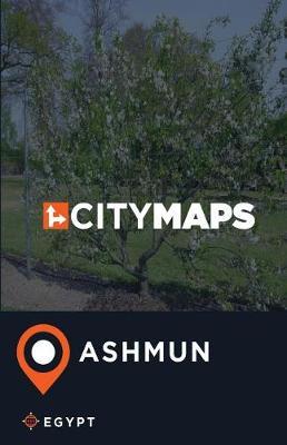 City Maps Ashmun Egypt