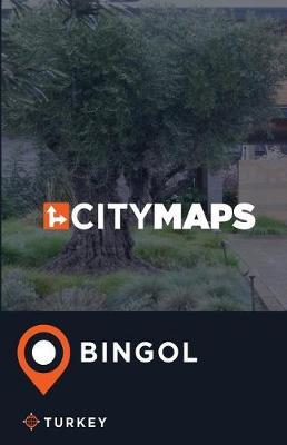 City Maps Bingol Turkey