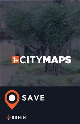 City Maps Save Benin