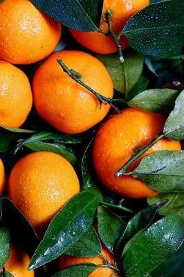 Oranges Notebook
