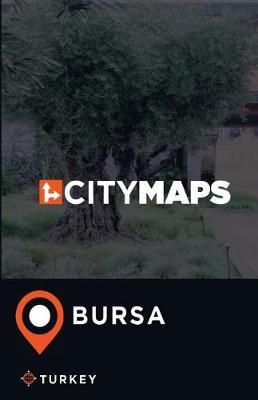 City Maps Bursa Turkey