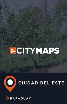 City Maps Ciudad del Este Paraguay