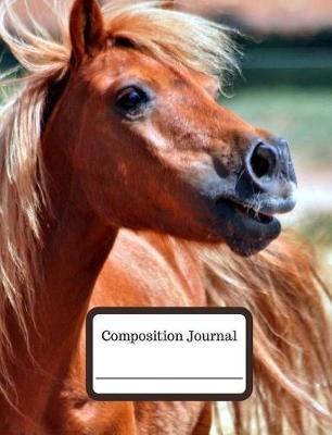 Composition Journal (Shetland Pony): 100 Wide Ruled Pages - Student Notebook
