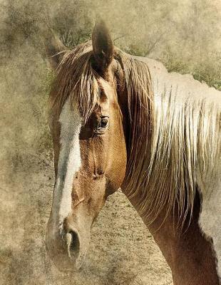 Horse Notebook: 8.5 X 11 202 College Ruled Pages