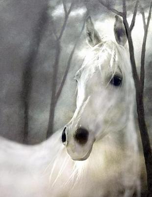 Horse Notebook: 8.5 X 11 202 College Ruled Pages