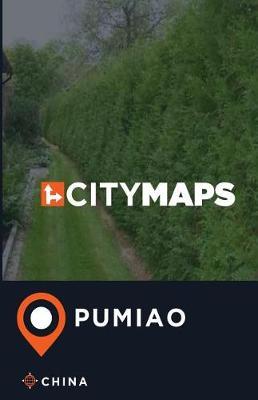 City Maps Pumiao China