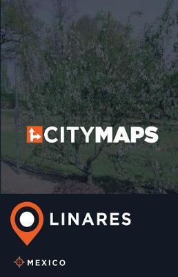 City Maps Linares Mexico