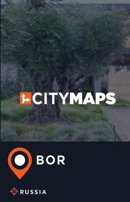 City Maps Bor Russia