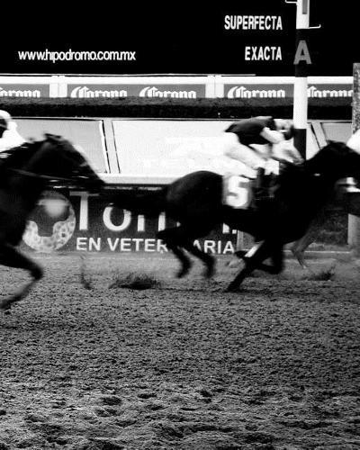 Composition Book: Horse Racing