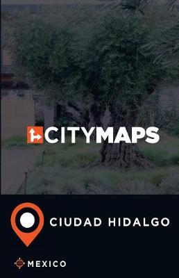 City Maps Ciudad Hidalgo Mexico