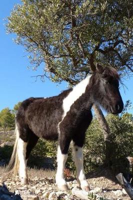 Adorable Brown and White Wild Baby Horse Journal: 150 Page Lined Notebook/Diary