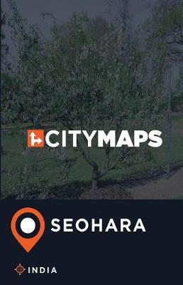 City Maps Seohara India