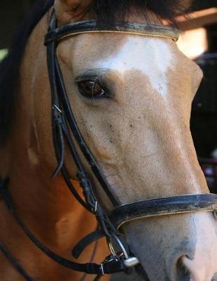 Horse Notebook: Dot Grid Notebook Journal 8.5 X 11 202 Pages