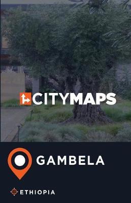 City Maps Gambela Ethiopia