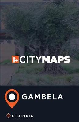 City Maps Gambela Ethiopia