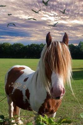Pretty Pony Needs a Haircut Journal: 150 Page Lined Notebook/Diary