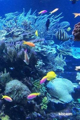 Biscayne: National Parks of the United States, National Park in Florida- 6'' X 9'' Lined Notebook- Work Book, Planner, Journal, Diary 120 Pages