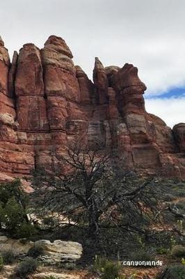 Canyonlands: National Parks of the United States, National Park in Utah- 6'' X 9'' Lined Notebook- Work Book, Planner, Journal, Diary 120 Pages