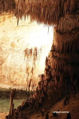 Carlsbad Caverns: National Parks of the United States, National Park in New Mexico6'' X 9'' Lined Notebook Work Book, Planner, Journal, Diary 120 Pages