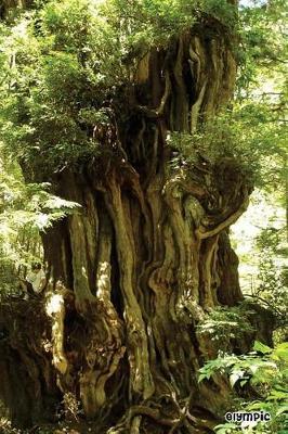 Olympic: National Parks of the United States, National Park in Washington-6'' X 9'' Lined Notebook- Work Book, Planner, Journal, Diary 120 Pages