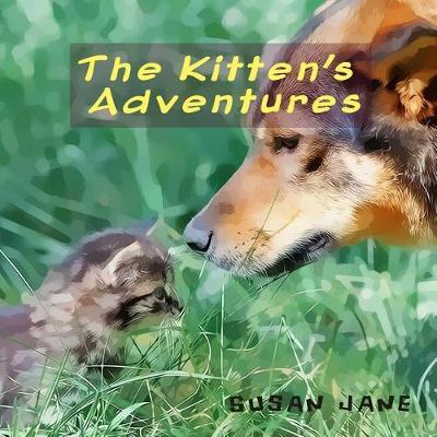 The Kitten's Adventures: Baby Animal Explore the Worlds