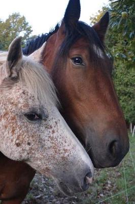 Two Friendly Horses Journal: 150 Page Lined Notebook/Diary