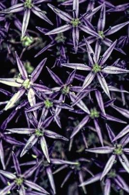 Bright Purples - Lined Notebook with Margins: 101 Pages, Medium Ruled, 6 x 9 Journal, Soft Cover