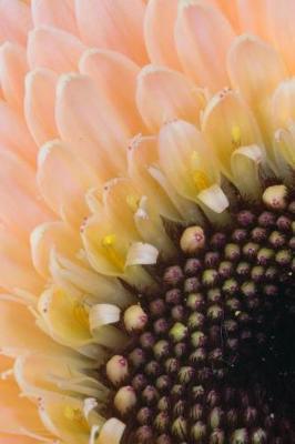 Pale Pink Germini - Lined Notebook with Margins: 101 Pages, Medium Ruled, 6 x 9 Journal, Soft Cover