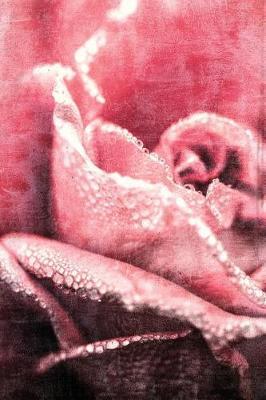 Blushing Rose - Blank Notebook: 101 Pages, 6 X 9 Journal, Soft Cover